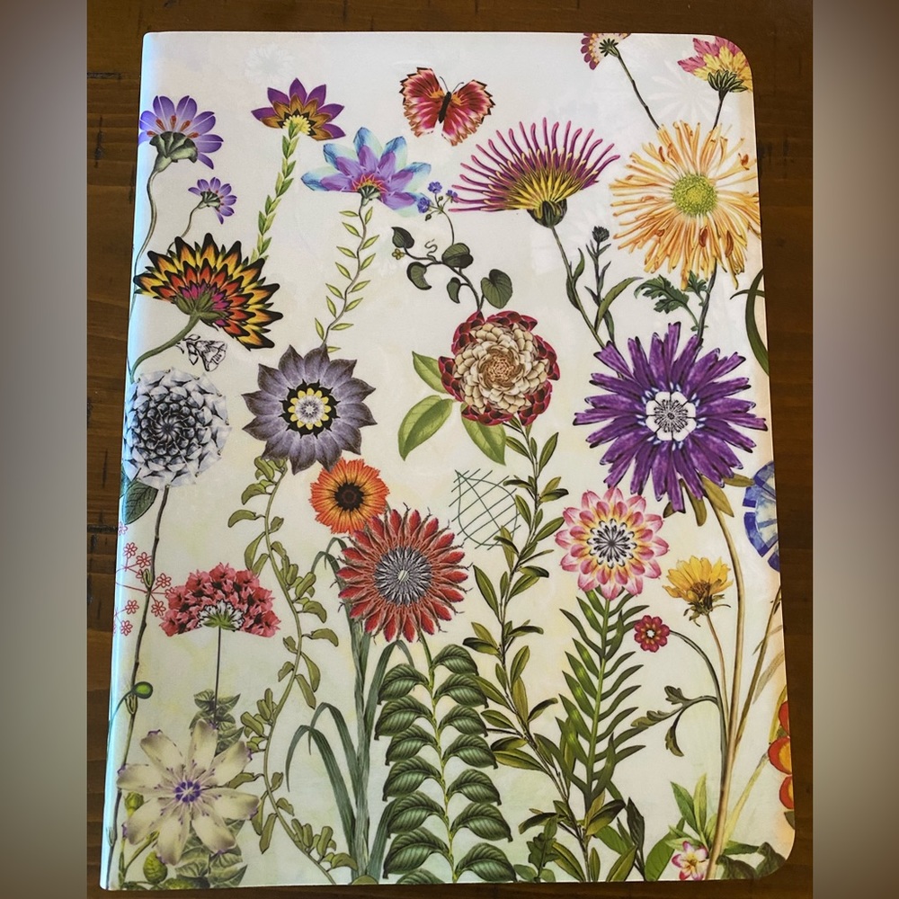 iPad case/cover